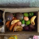 A cardboard box of fresh produce including avocados, bananas, peppers and eggs