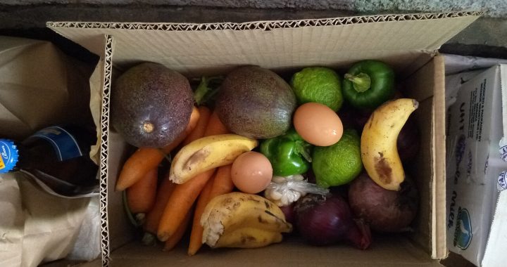 A cardboard box of fresh produce including avocados, bananas, peppers and eggs
