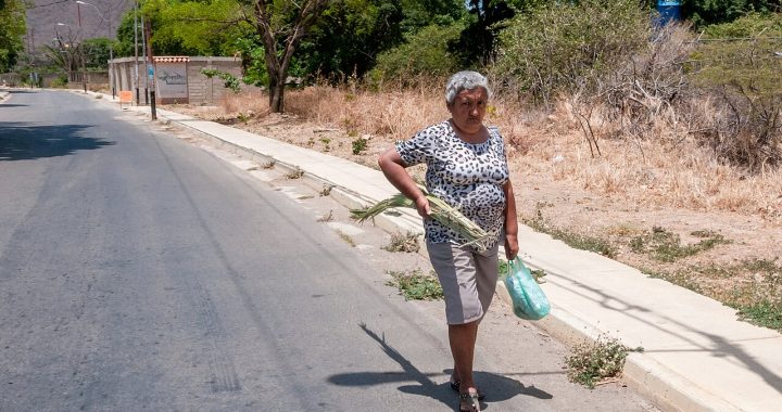 An older woman walking along a sunny roadside carrying a shopping bag